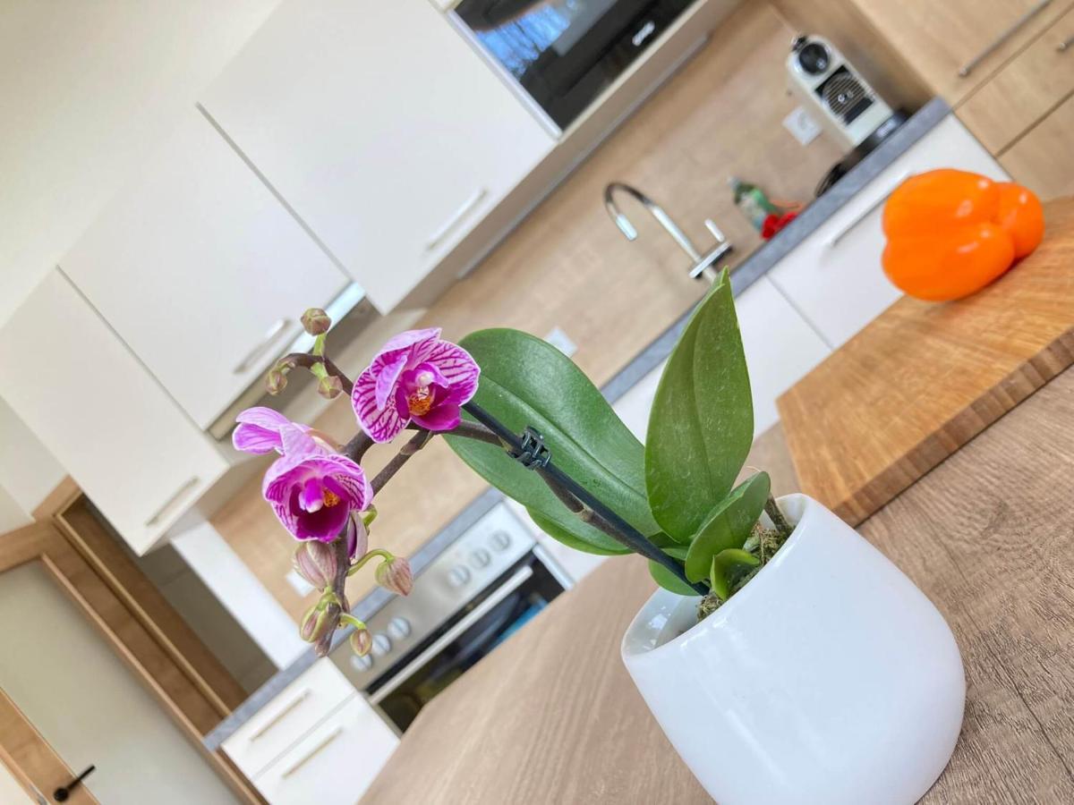 רמסאו אם דכשטיין Appartements Blumenwiese מראה חיצוני תמונה