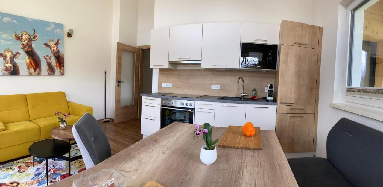 רמסאו אם דכשטיין Appartements Blumenwiese מראה חיצוני תמונה