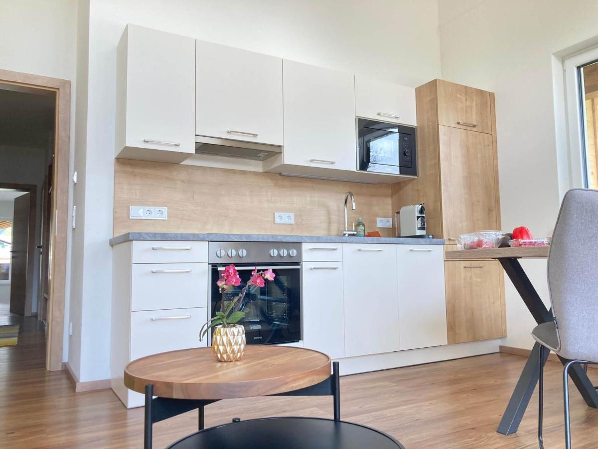 רמסאו אם דכשטיין Appartements Blumenwiese מראה חיצוני תמונה